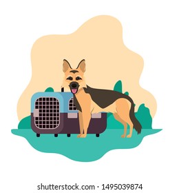 dog and pet transport box with background landscape