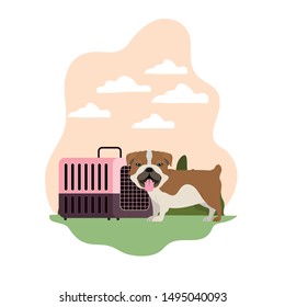 dog and pet transport box with background landscape