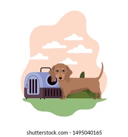 dog and pet transport box with background landscape