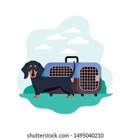 dog and pet transport box with background landscape