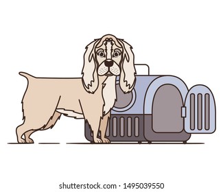 dog and pet transport box on white background