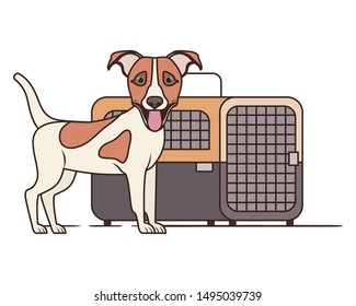 dog and pet transport box on white background