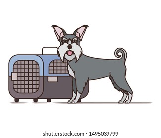 dog and pet transport box on white background