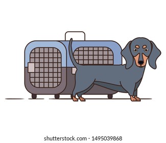 dog and pet transport box on white background
