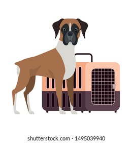 dog and pet transport box on white background
