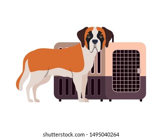 dog and pet transport box on white background