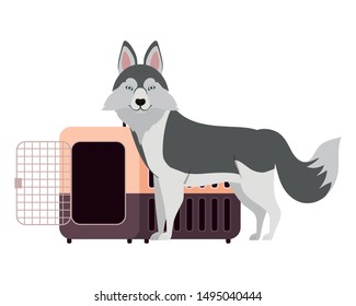 dog and pet transport box on white background