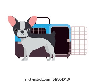 dog and pet transport box on white background