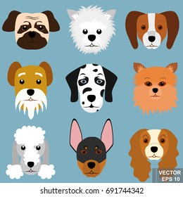 Dog. A pet. Vector illustration. The icon. For your design.