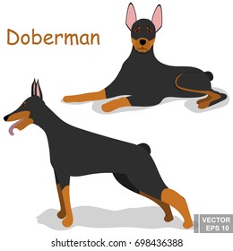 Dog. A pet. Vector illustration. The icon. For your design.