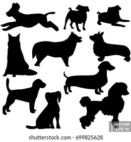 Dog. A pet. Vector illustration. The icon. For your design.