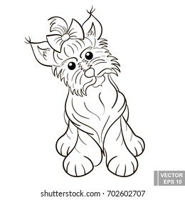 Dog. A pet. Vector illustration. The icon. For your design.