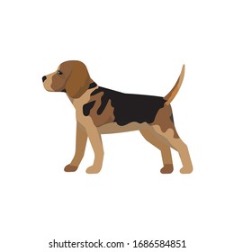 Dog pet vector ready to use for web design