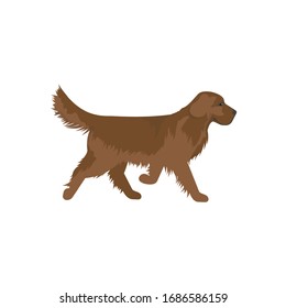 Dog pet vector ready to use for web design