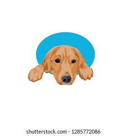 Dog pets edit into vector illustration.-vector
