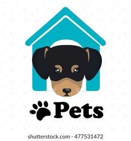 dog pets house icon