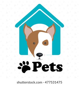 dog pets house icon