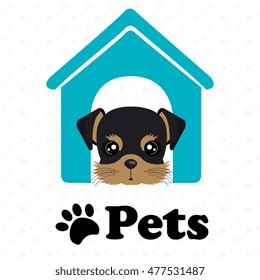 dog pets house icon