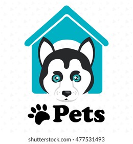 dog pets house icon