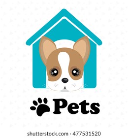 dog pets house icon
