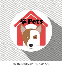 dog pets house icon