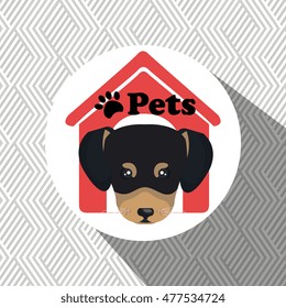 dog pets house icon