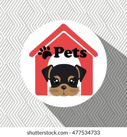dog pets house icon