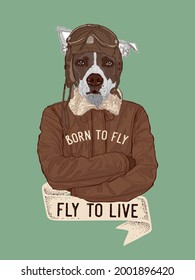 A dog pilot in a vintage style, vector illustration