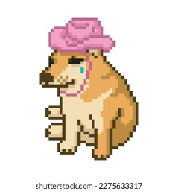 dog in pink hat, pixel art meme