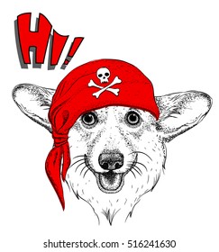 Dog in a pirate bandana. Vector illustration