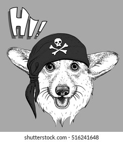 Dog in a pirate bandana. Vector illustration