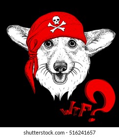 Dog in a pirate bandana. Vector illustration