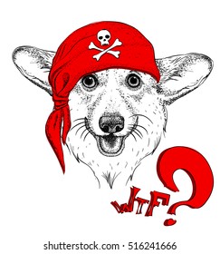 Dog in a pirate bandana. Vector illustration