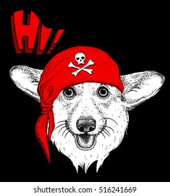 Dog in a pirate bandana. Vector illustration