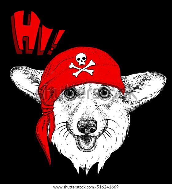 dog pirate bandana