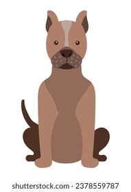 dog pitbull illustration vector isolated