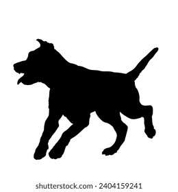 Dog Pitbull running silhouette Breeds Bundle Dogs on the move. Dogs in different poses. High quality 
The dog jumps,  runs. sitting. The dog is lying down playing