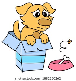 dog pity in a cardboard box and a bone, doodle icon image. cartoon caharacter cute doodle draw