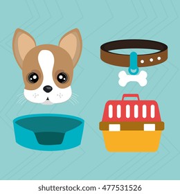 dog plate collar