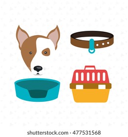 dog plate collar