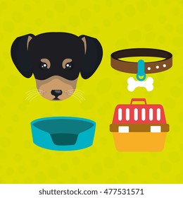 dog plate collar