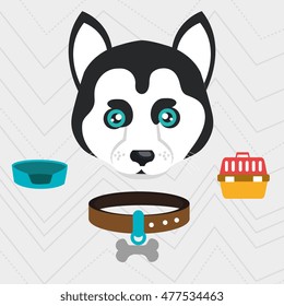 dog plate collar