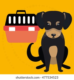 dog plate collar