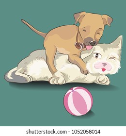 Dog play with cat