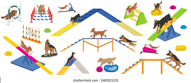 Dog playground equipment set. Colour flat playing dogs design. Vector illustration