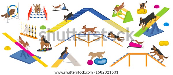 Dog playground equipment set. Colour flat\
playing dogs design. Vector\
illustration
