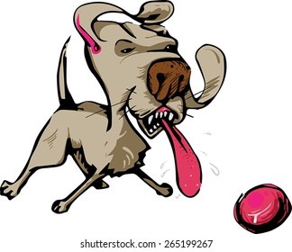 dog playing with a ball