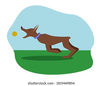 Dog playing with a ball. Running in the fresh air. Vector illustration. Flat image.