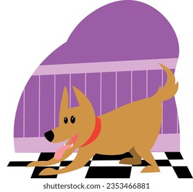 dog playing inside a house perro juagando en casa