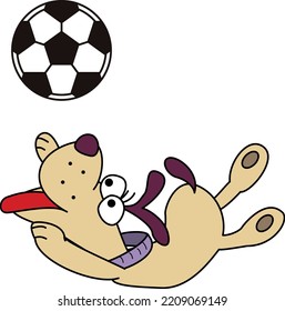 dog playing with a soccer ball